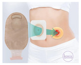 حلقهی محافظ استومی انگلیسی